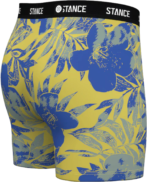 BOYS LIHUE 2 BOXER BRIEF - Image 4